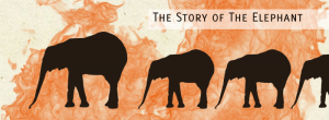 The Story of The Elephant